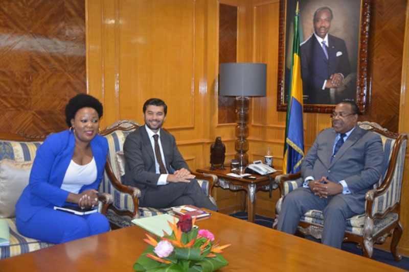 Le PM, Julien Nkoghe Bekale s’entretenant avec le représentant-résident du FMI au Gabon, Marcos Poplawski-Ribeiro.