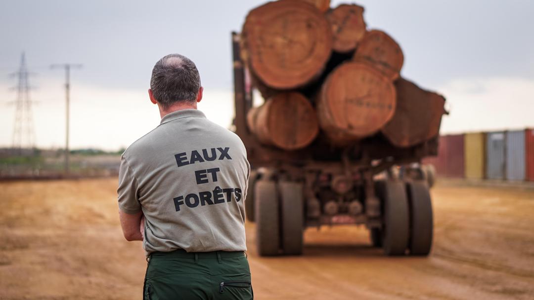 En 2020, le bois a été le premier poste d’achat de la France au Gabon.