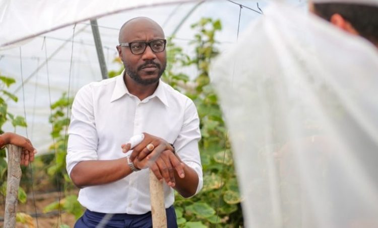 Le ministre de l’Agriculture, de l’Elevage et de la Pêche, Biendi Mganga Moussavou.