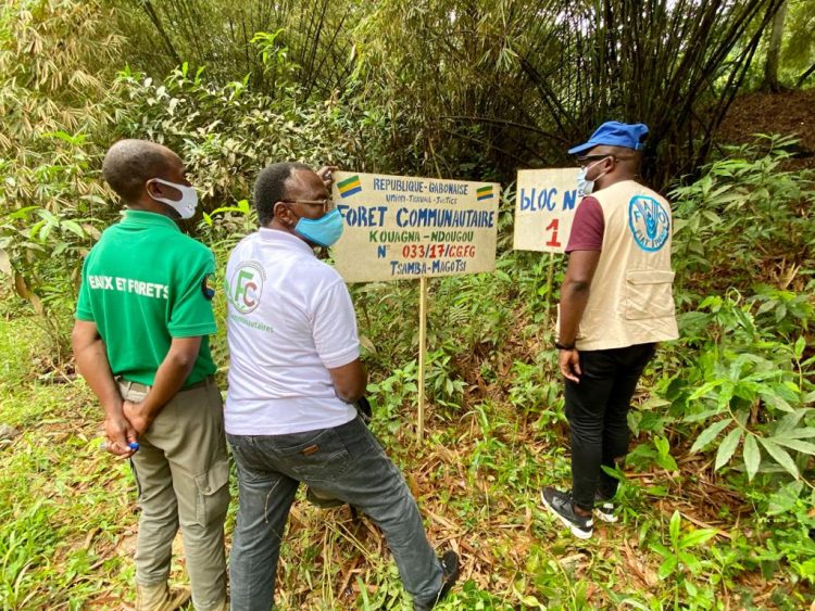 Forêt communautaire Kouagna.
