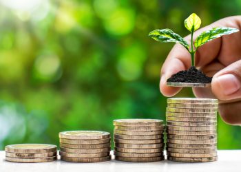 Grow small trees by hand on coins and natural light, financial accounting concepts and save money.