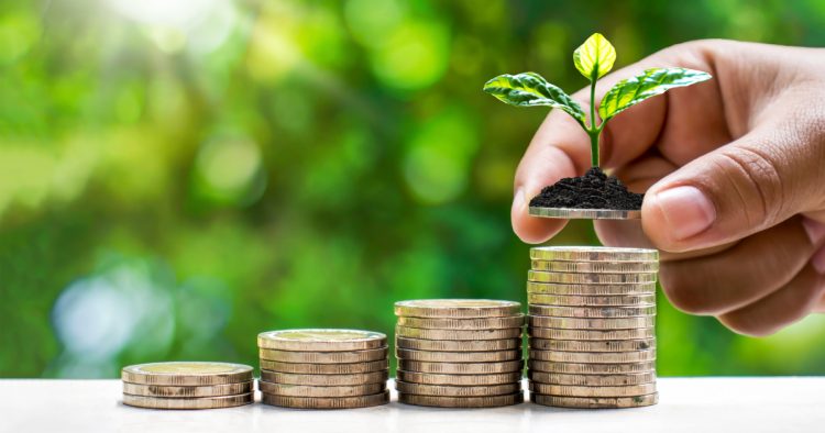 Grow small trees by hand on coins and natural light, financial accounting concepts and save money.