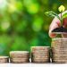 Grow small trees by hand on coins and natural light, financial accounting concepts and save money.