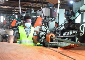 La transformation du bois reste au cœur de l’activité principale des entreprises, au sein de la Zone Economique Spéciale du Gabon (GSEZ) de Nkok.