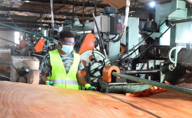 La transformation du bois reste au cœur de l’activité principale des entreprises, au sein de la Zone Economique Spéciale du Gabon (GSEZ) de Nkok.