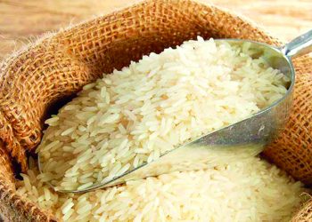 Avec l’approbation d’un financement de 52 milliards de FCFA) pour la promotion de la riziculture, la BID a renforcé sa coopération avec le Cameroun.