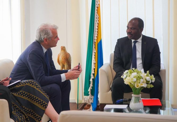 Le ministre de la Promotion des investissements, Hugues Mbadinga Madiya et l'ambassadeur de la France au Gabon, Alexis Lamek