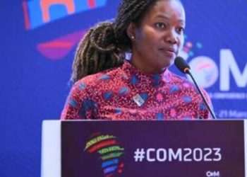 La Directrice du Bureau sous régional pour l’Afrique australe, Eunice Kamwendo