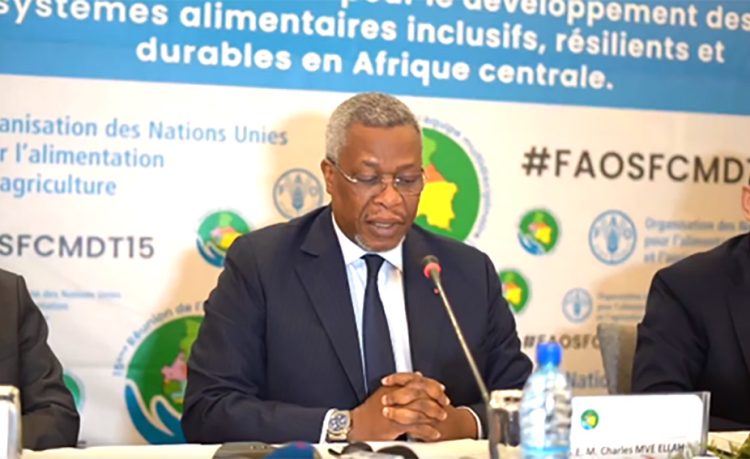 Le ministre gabonais de l’Agriculture, Charles Mve Ellah