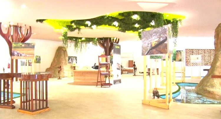 la seconde édition du concours national de la photographie au Gabon