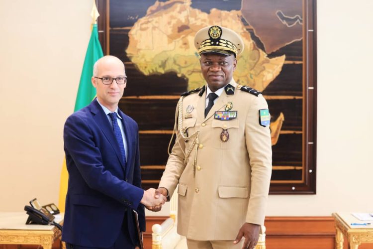 Brice Clotaire Oligui Nguema et Judd Devermont.