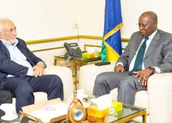 Le ministre des Comptes Publics, Charles M’BA et son hôte, Dominique Strauss-Kahn.