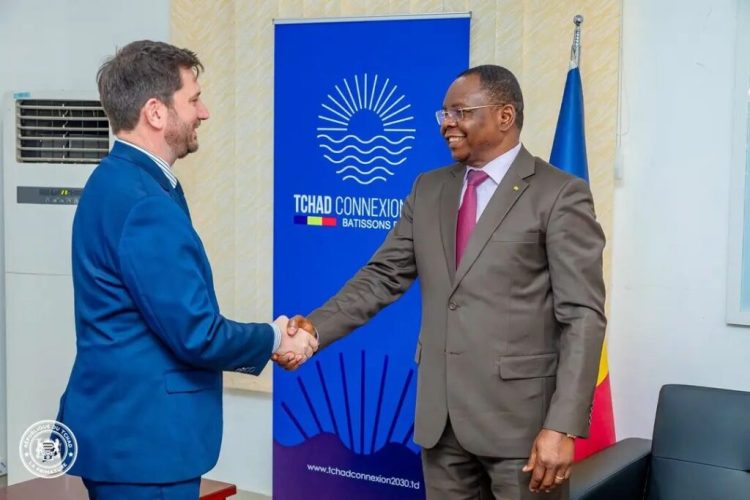 Le Premier ministre, Allah Maye Halina a reçu en audience, Julien Reynaud, chef de mission de l’équipe-pays du FMI pour le Tchad.