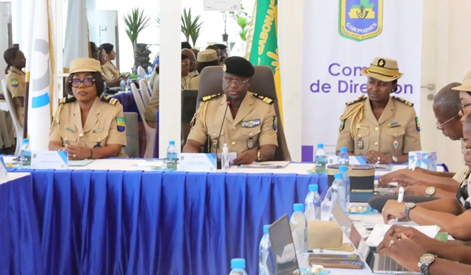 Gabon Performance Renforcement Des Capacit s Transformation 