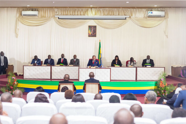 Le Conseil économique, social, environnemental et culturel