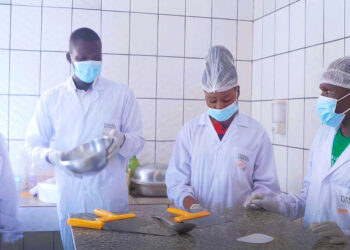 Des agripreneurs lors d’une session en laboratoire, au centre d’incubation d’agro-entreprise pour jeunes de Sangmelima, région du Sud.