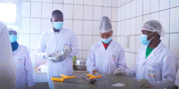 Des agripreneurs lors d’une session en laboratoire, au centre d’incubation d’agro-entreprise pour jeunes de Sangmelima, région du Sud.