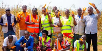 Les membres du Groupement Mouayaya à Loudima Bouansa présentent un échantillon de recolte de maïs de leur champ, avril 2024.