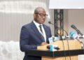 Marius Issa Nkori, Administrateur directeur général de la CDC du Gabon